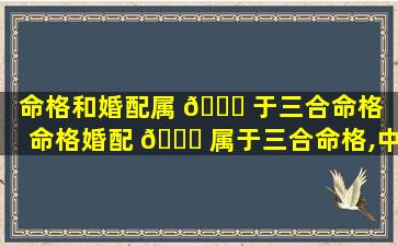 命格和婚配属 🐝 于三合命格「命格婚配 🐎 属于三合命格,中平」